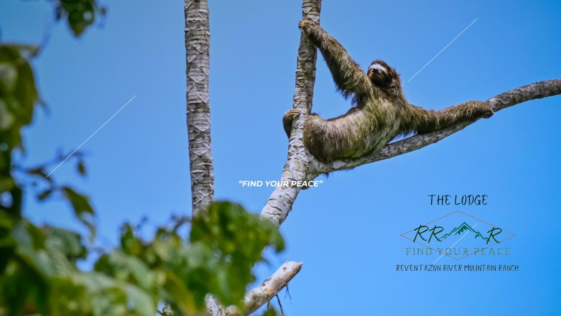 The Lodge At Reventazon River Mountain Ranch Turrialba Luaran gambar